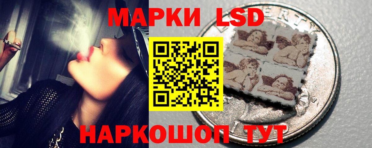 ЛСД экстази кислота  ЛСД экстази кислота  Вход с VPN  Новозыбков 