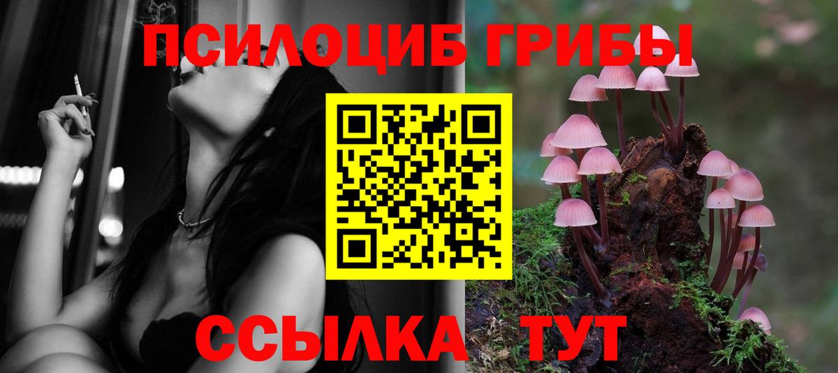 Псилоцибиновые грибы GOLDEN TEACHER  Галлюциногенные грибы Magic Shrooms  Новозыбков  Вход с VPN 